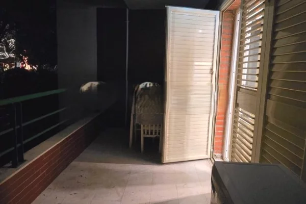 Appartamento in vendita a Tirana 1+1, Arredato