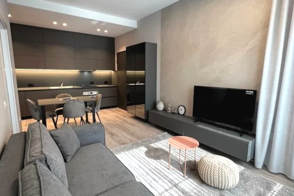 House for Rent 1+1 in Tirana - 850 Euro