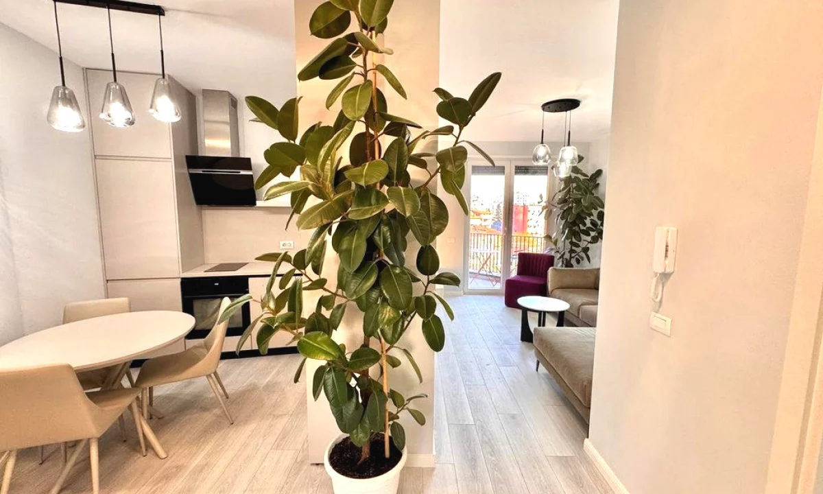 Appartamento in affitto a Tirana 2+1, Arredato