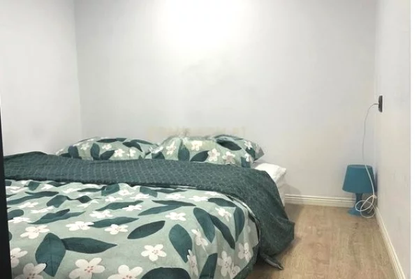 Shtepi me qera Apartament ne Tirane, Garsoniere, Mobilimi Pjeserisht e mobiluar, Pagesa 450  Euro.