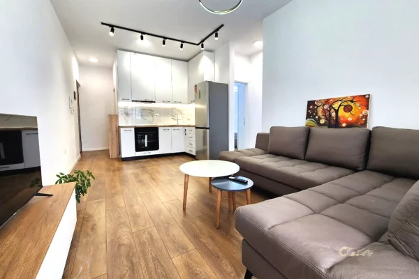 JEPET APARTAMENT 2+1 PER QIRA PRANE PAZARIT