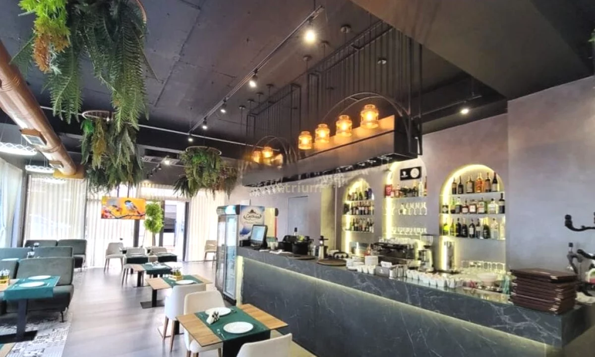 SHITET BIZNESI BAR/RESTORANT TEK TOWER BRIDGE 3