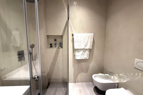 Shtepi me qera Apartament ne Tirane, 1+1, Mobilimi E mobiluar, Pagesa 1,000  Euro.