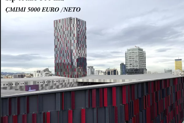 Ambient biznesi me qera 3+1 ne Tirane - 5,000 Euro
