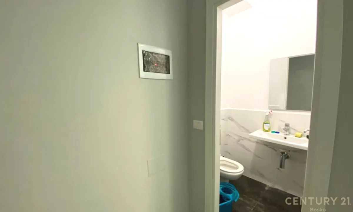 Qera, Ambient Biznesi, Zogu i Zi