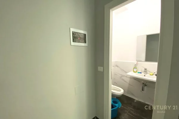 Qera, Ambient Biznesi, Zogu i Zi