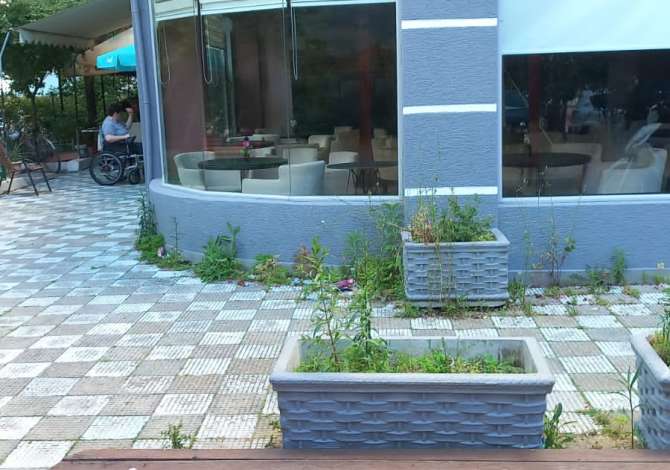 Ambient biznesi me qera 1+1 ne Tirane - 400 Euro