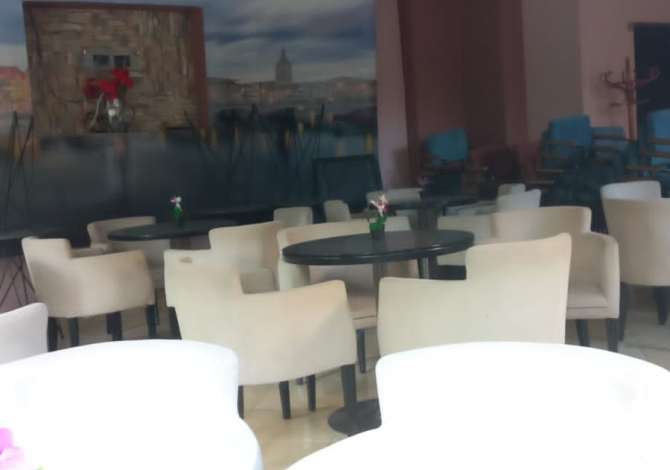 Ambient biznesi me qera 1+1 ne Tirane - 400 Euro