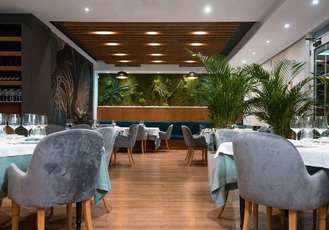 Ambient biznesi me qera 2+1 ne Tirane - 3,200 Euro