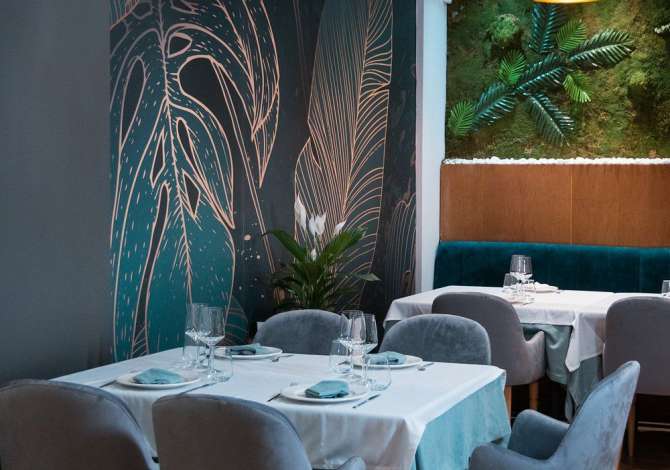 Ambient biznesi me qera 2+1 ne Tirane - 3,200 Euro