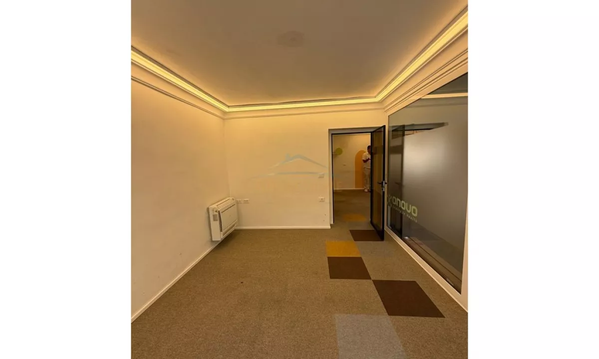 Ambient Biznesi , Zogu i Zi. qera