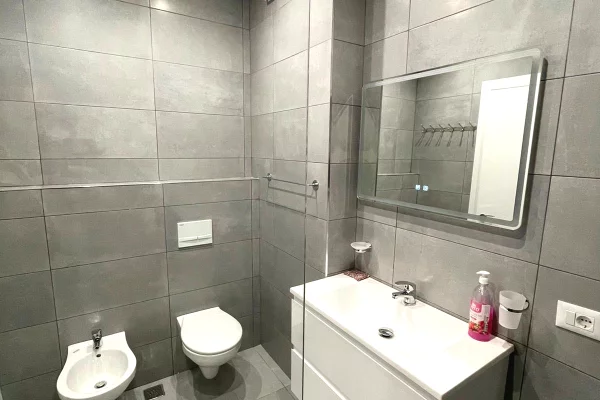 Shtepi me qera Apartament ne Tirane, 1+1, Mobilimi E mobiluar, Pagesa 750  Euro.