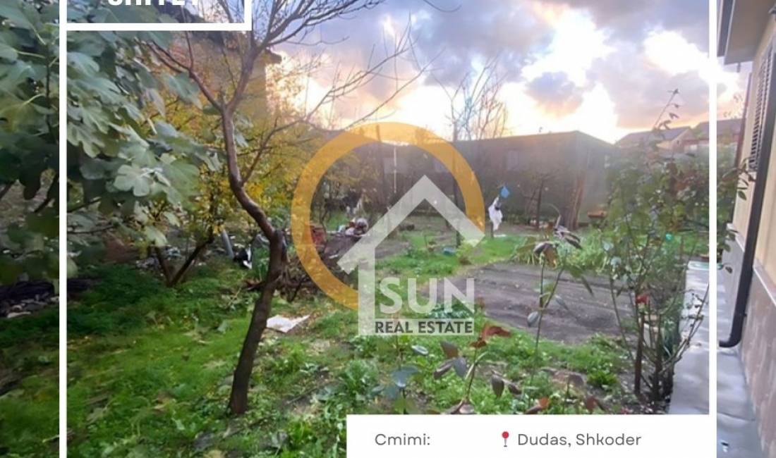SHITET TRUALL, DUDAS, SHKODER