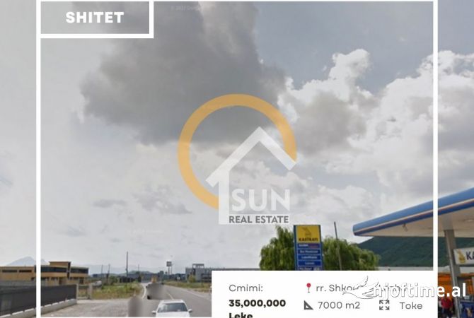 SHITET TOKE, RR NACIONALE, SHKODER-LEZHE