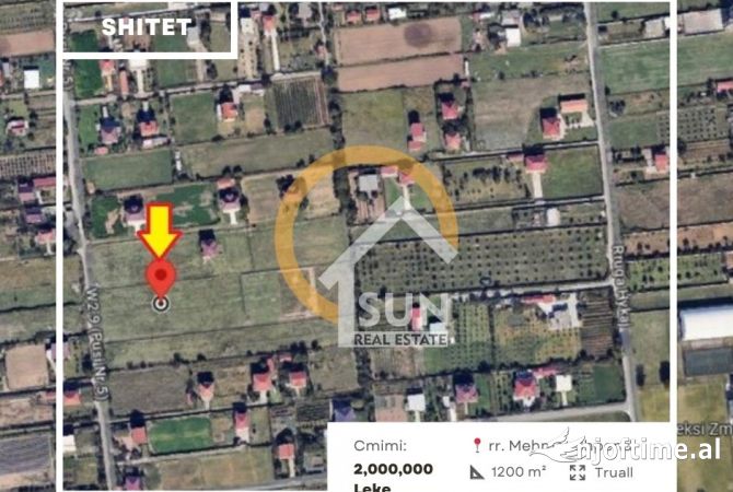 SHITET TOKE, PAS ZMIJANEVE