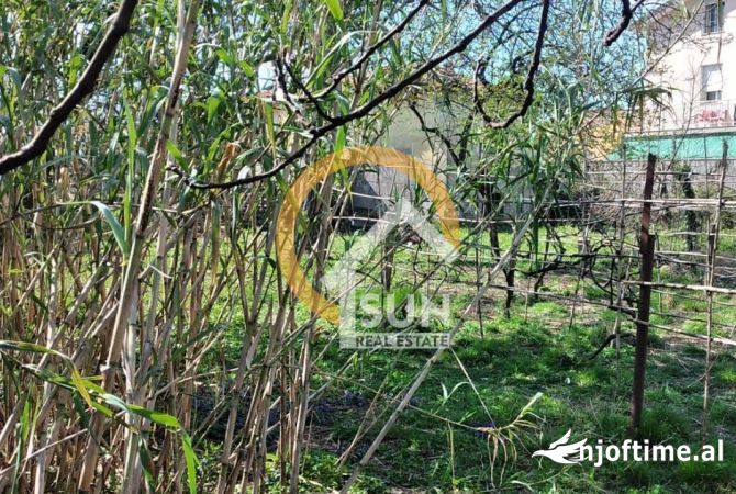 Truall ose Toke ne Shkoder - 213,500 Euro
