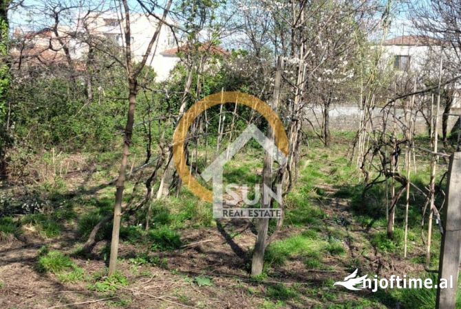 Truall ose Toke ne Shkoder - 213,500 Euro
