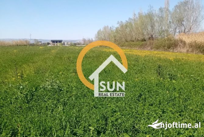 Terreno in vendita a Alessio - 400,000 Euro