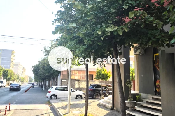 JEPET ME QIRA AMBIENT BIZNESI, SARREQ, SHKODER