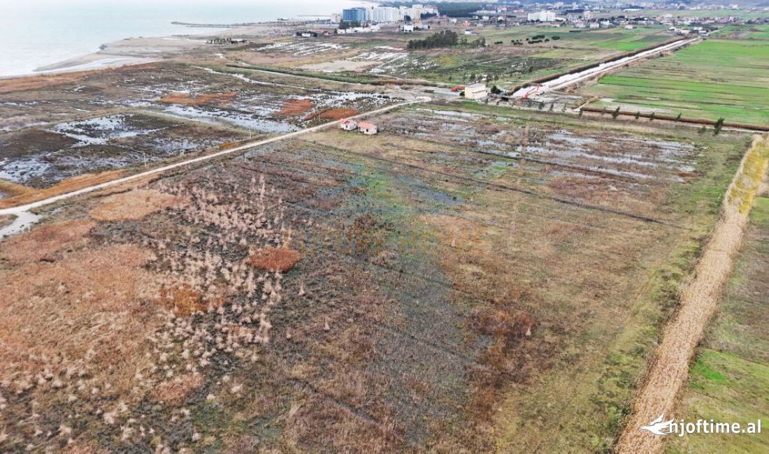 Shitet, Toke, Qerret