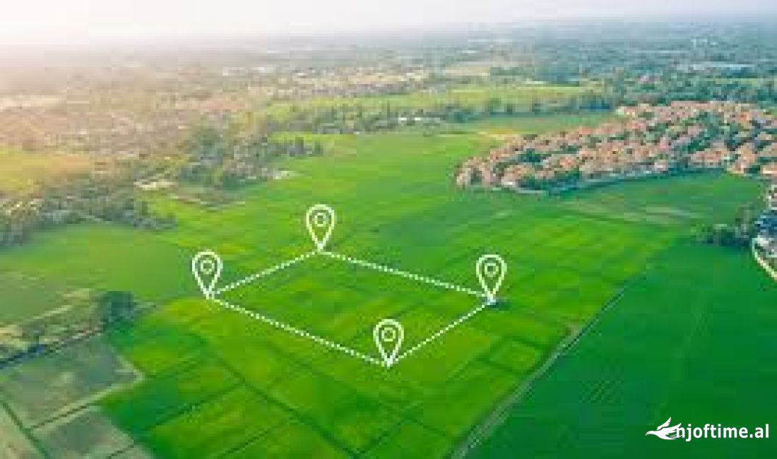 Shitet, Toke, Prush, Tirane