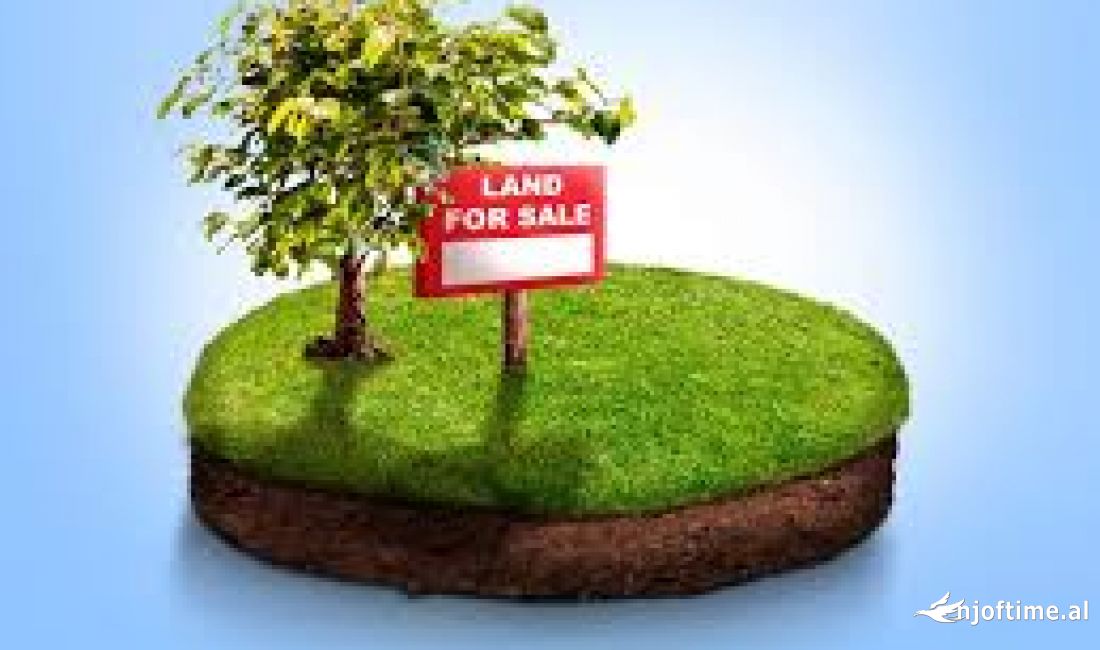 Shitet, Toke, Prush, Tirane