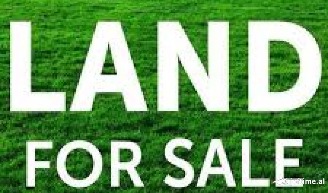 Shitet, Toke, Prush, Tirane