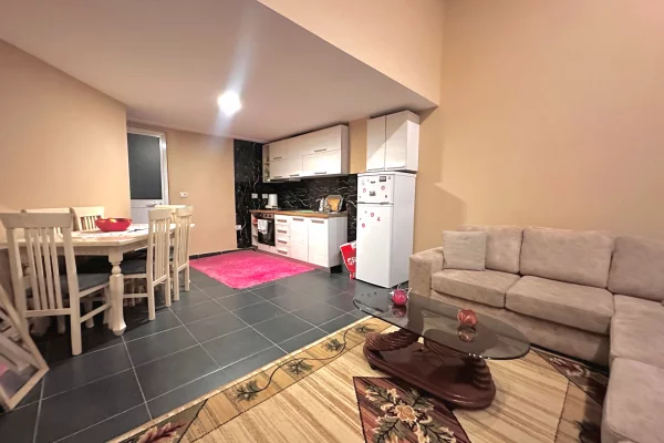 Shtepi ne shitje Duplex(shtepi me 2 kate) ne Tirane, 1+1, Mobilimi E mobiluar, Pagesa 87,000  Euro.