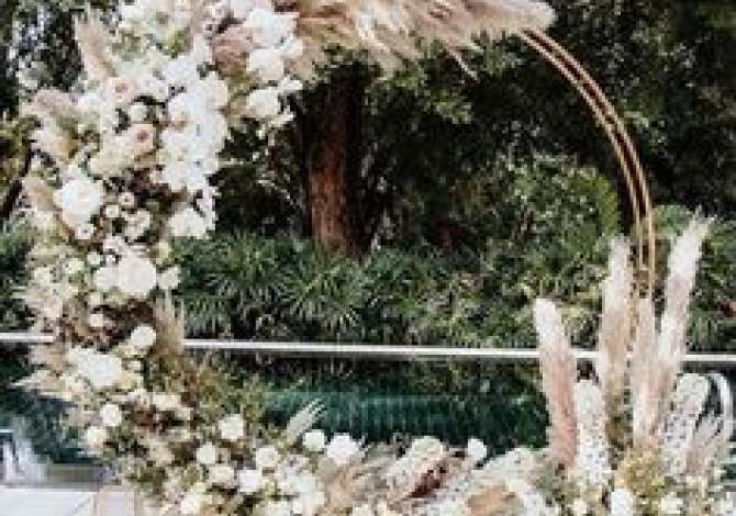 Holiday arrangements a Tirana - 17,000 Leke