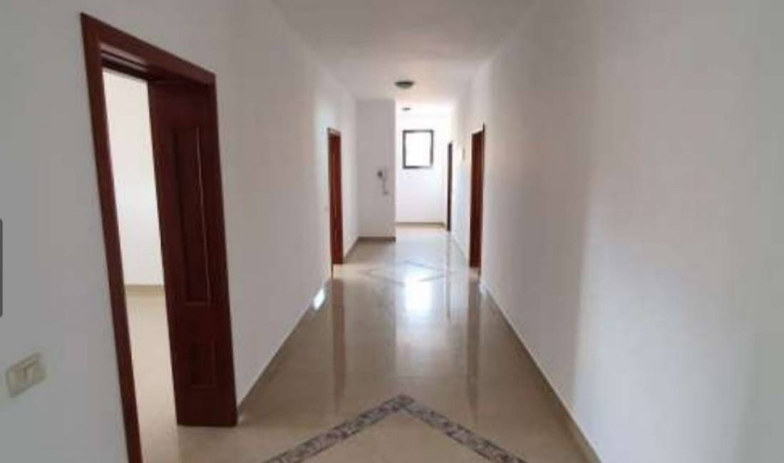 Ambient Biznesi me qira, "Siri Kodra"