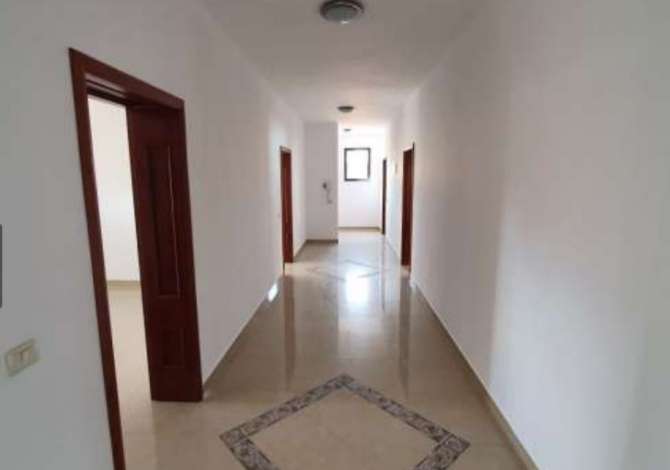 Ambient Biznesi me qira, "Siri Kodra"