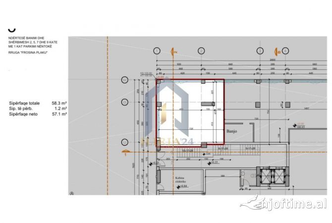 Ambiente Commerciale in Affitto 1+1 a Tirana - 900 Euro