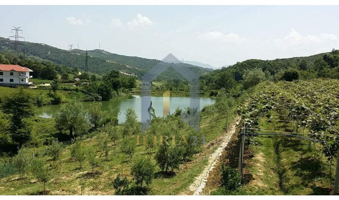 Toke ne shitje ne "Linze"