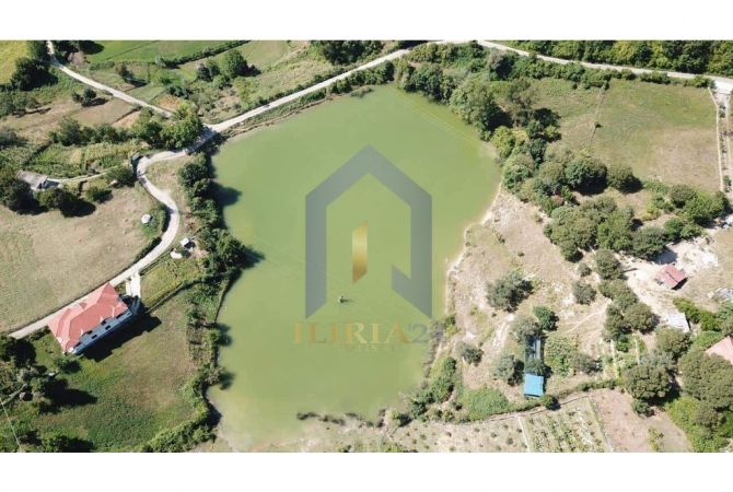 Truall ose Toke ne Tirane - 490,000 Euro