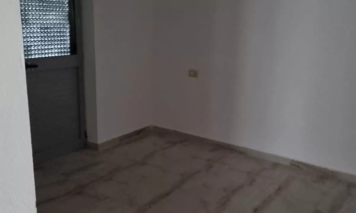 Zyre me qira tek “Stadiumi Dinamo”