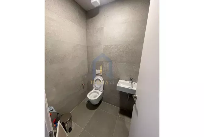 Ambient Biznesi me qira "Lion Park 1" Rruga e elbasanit