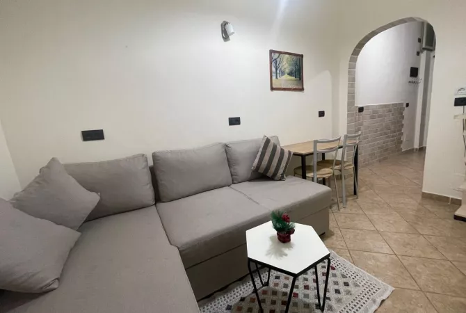 Shtepi me qera Apartament ne Tirane, 1+1, Mobilimi E mobiluar, Pagesa 450  Euro.