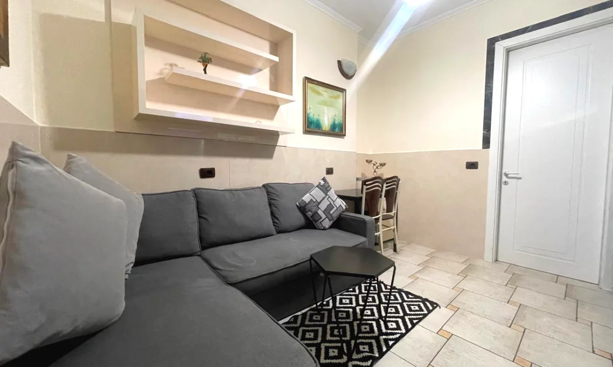Shtepi me qera Apartament ne Tirane, 1+1, Mobilimi E mobiluar, Pagesa 450  Euro.