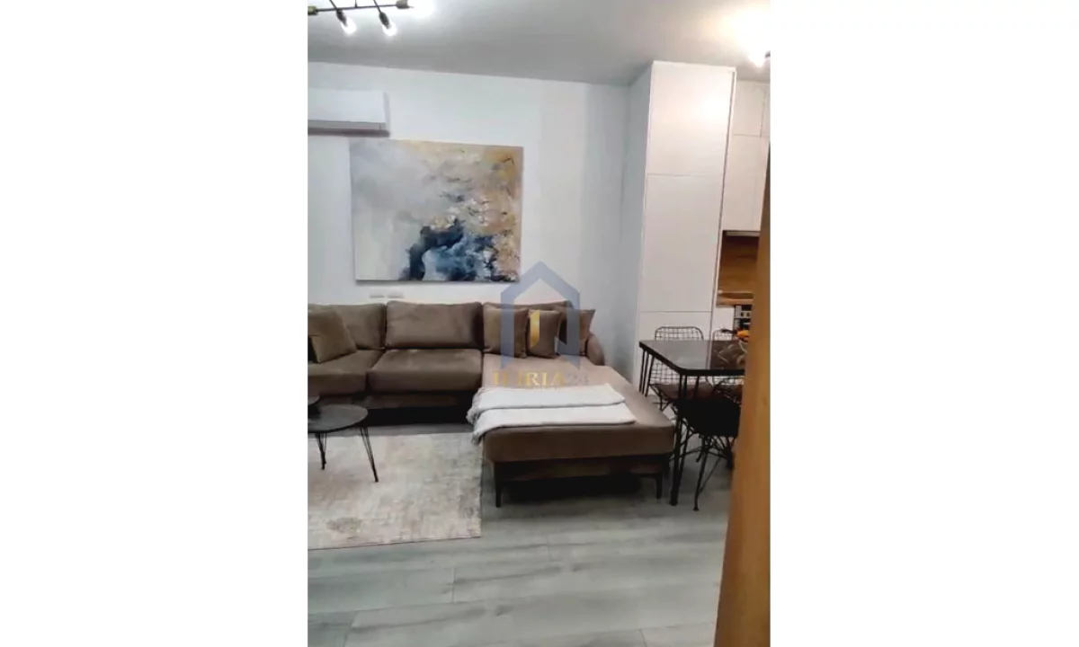 Shtepi me qera Apartament ne Tirane, 1+1, Mobilimi E mobiluar, Pagesa 450  Euro.