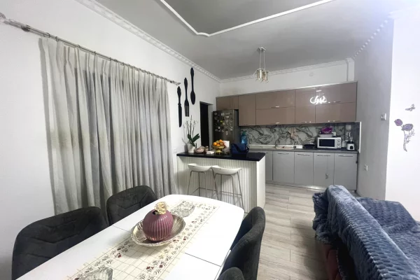 Shtepi ne shitje Apartament ne Tirane, 1+1, Mobilimi E mobiluar, Pagesa 115,000  Euro.