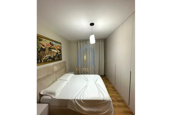 Shtepi me qera Apartament ne Tirane, 2+1, Mobilimi E mobiluar, Pagesa 1,200  Euro.