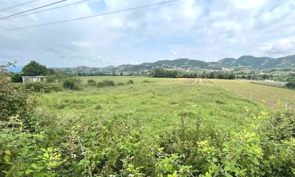 Shitet Toket dhe Ndertese ne Vishaj