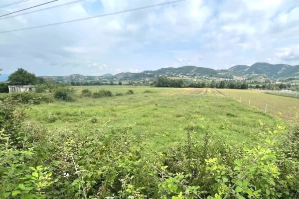 Shitet Toket dhe Ndertese ne Vishaj