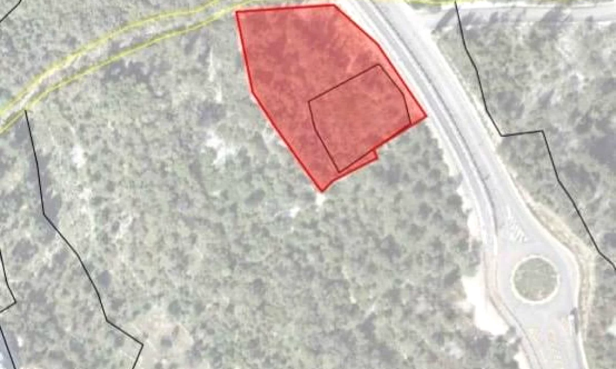 Shitet toke ne Dhermi Drimadhes