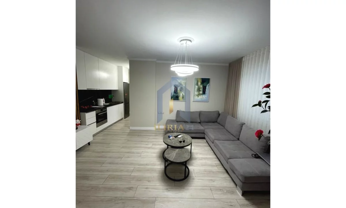 Shtepi me qera Apartament ne Tirane, 1+1, Mobilimi E mobiluar, Pagesa 1,000  Euro.