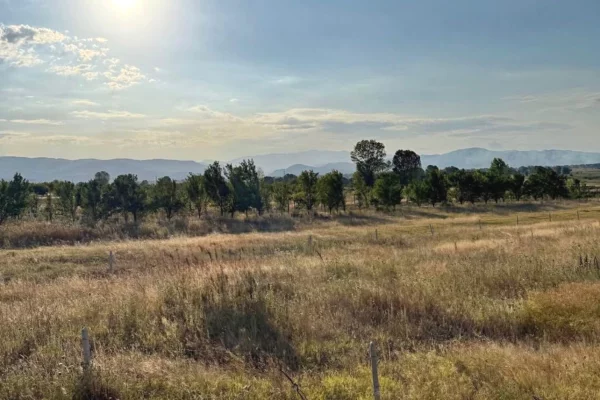 Truall ose Toke ne Korce - 48,600 Euro