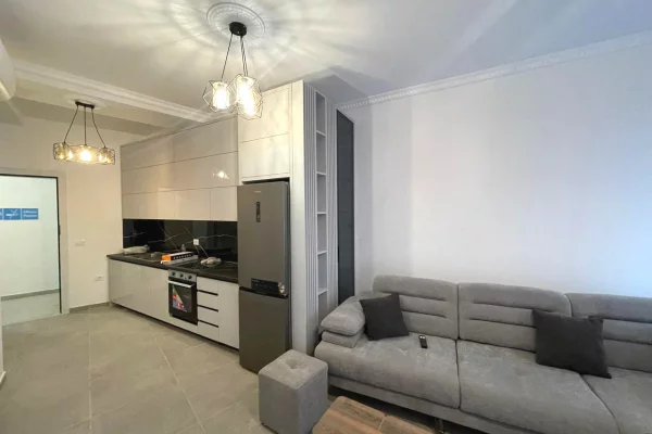 Shtepi ne shitje Apartament ne Tirane, 1+1, Mobilimi E mobiluar, Pagesa 153,000  Euro.