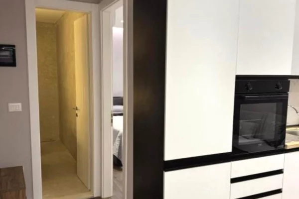 Appartamento in affitto a Tirana 1+1, Arredato