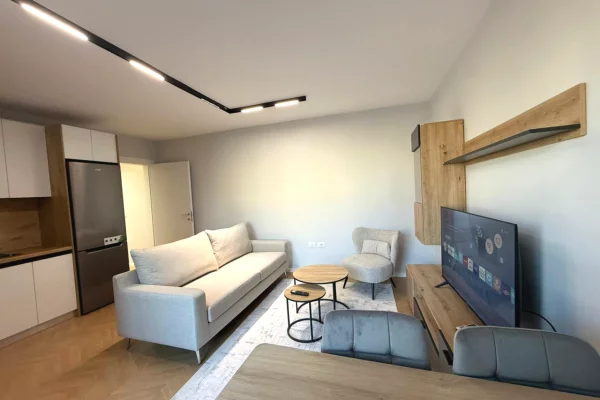 Shtepi ne shitje Apartament ne Tirane, 1+1, Mobilimi E mobiluar, Pagesa 149,000  Euro.