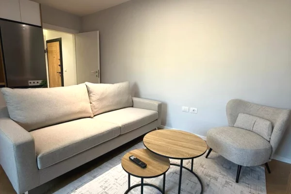 Shtepi ne shitje Apartament ne Tirane, 1+1, Mobilimi E mobiluar, Pagesa 149,000  Euro.